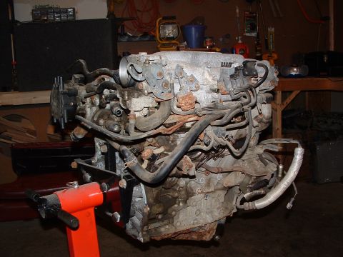 1993 Ford Probe - Engine assembly on a stand, likely removed from a vehicle for repair or rebuild.