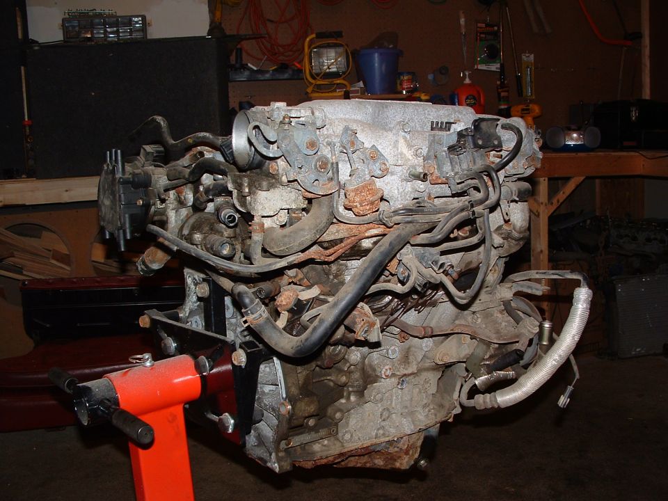 Engine assembly on an orange engine stand, showing hoses and intake manifold