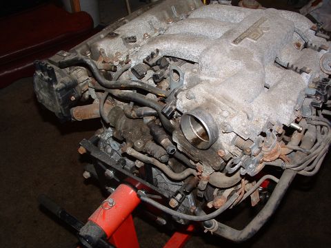 1993 Ford Probe photo