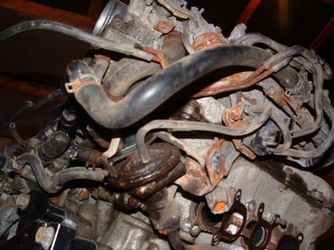 1993 Ford Probe photo