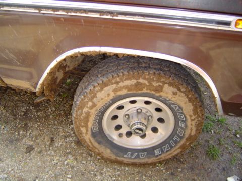 1979 Ford Bronco - Mud covers the wheel and fender of a brown vehicle, obscuring its model year.
