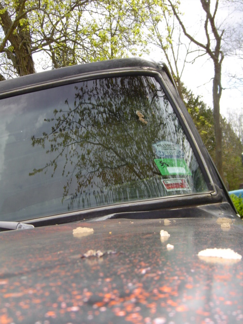 1979 Ford Bronco - Low-angle view across a dirty black hood to the windshield of a truck, with a green and white inspection sticker in the lower passenger cor…