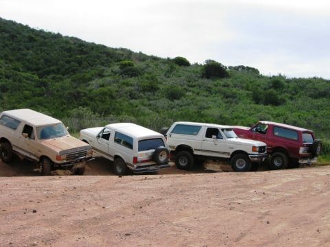1988 Ford Bronco - Multiple Ford Bronco SUVs are seen on a dirt road, with one vehicle appearing to be from the 1987 model year.