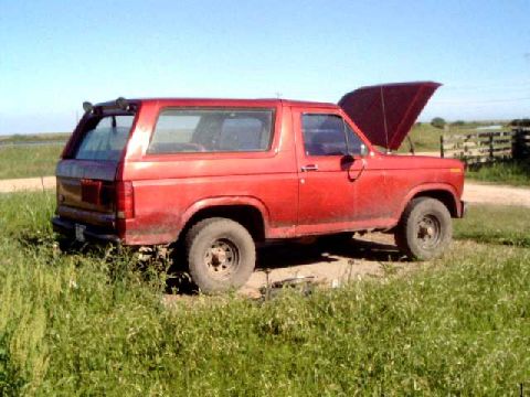 1986 Ford Bronco - 1986 Ford Bronco Custom