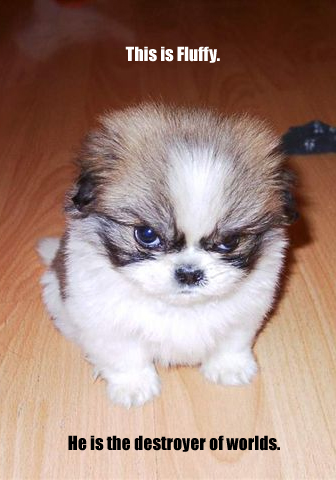 1986 Ford Bronco - This puppy is named Fluffy and is described as the destroyer of worlds.