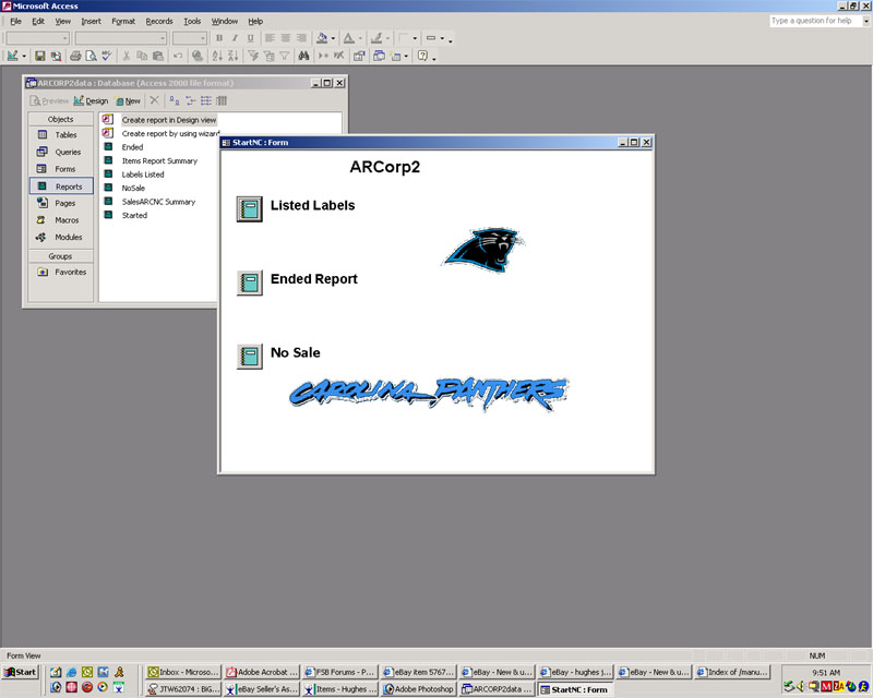 Computer screen showing Microsoft Access with a form displaying Carolina Panthers logos and text