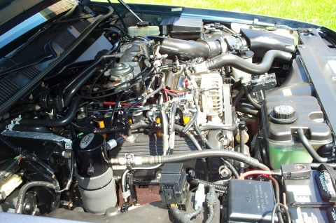 1998 Ford Crown Victoria - Engine bay of a 1998 Ford Crown Victoria, showing the V8 engine and various components.