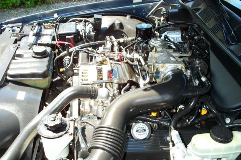 1998 Ford Crown Victoria - The engine bay of a 1998 Ford Crown Victoria, a police vehicle badge on the engine cover.