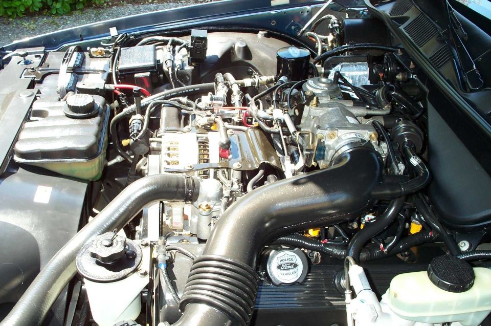 Ford V8 engine bay with black cover and 'Ford Police Vehicles' badge