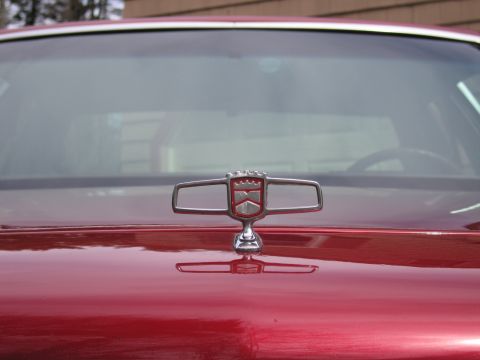 1991 Ford LTD Crown Victoria - A close-up of a car's hood ornament, reflecting the surrounding environment.