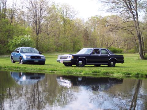 2001 Ford Crown Victoria - Two Ford Crown Victoria sedans are parked on a grassy area next to a body of water.