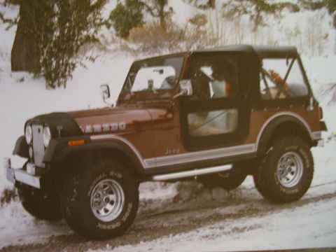 1995 Ford Bronco - This Jeep CJ-7 Laredo is parked on a snowy road with trees in the background.