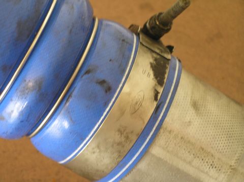 2000 Ford Excursion - A close-up view of a blue silicone hose with a metal clamp, revealing a Ford logo and some text.