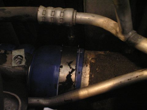 2000 Ford Excursion - This is a close-up view of a hose and clamp assembly, likely from an engine compartment.