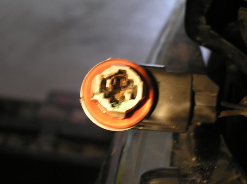 2000 Ford Excursion - Close-up of a vehicle's parking light socket, showing the internal contacts.