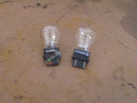 2000 Ford Excursion - Two clear automotive light bulbs with black plastic bases are shown on a wooden surface, one with a visible label.