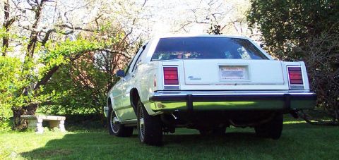 1985 Ford Crown Victoria LTD - Rear view of a white sedan parked on a grassy lawn with trees in the background.
