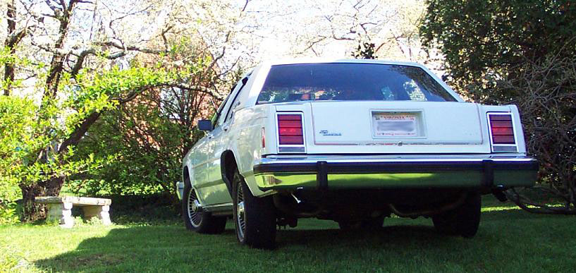 White sedan from rear, parked on grass with trees and a stone bench