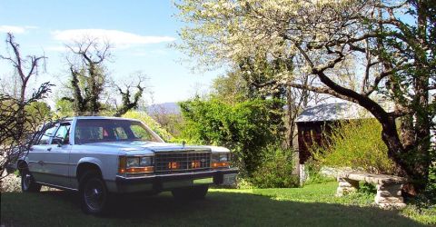 1985 Ford Crown Victoria LTD - A 1985 Ford Crown Victoria LTD sits in a grassy yard next to a barn.