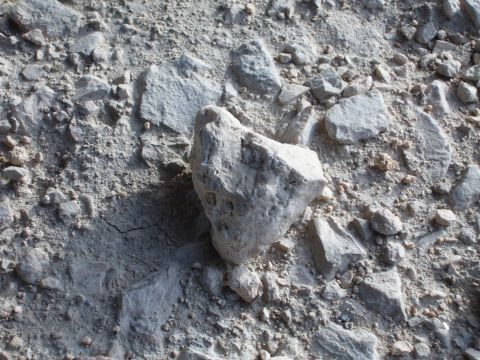1988 Ford Bronco - Close-up of rocks and dirt on the ground, a watermark.