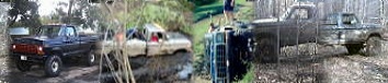 1978 Ford F-250 - Multiple pickup trucks are stuck in the mud and water in a wooded area.
