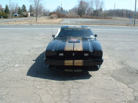 1978 Ford Mustang II - Front view of a black 1978 Ford Mustang II, gold racing stripes and a Cobra emblem.