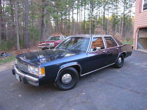 1991 Ford LTD Crown Victoria - A dark blue sedan is parked in a driveway with a red sedan behind it, surrounded by trees.