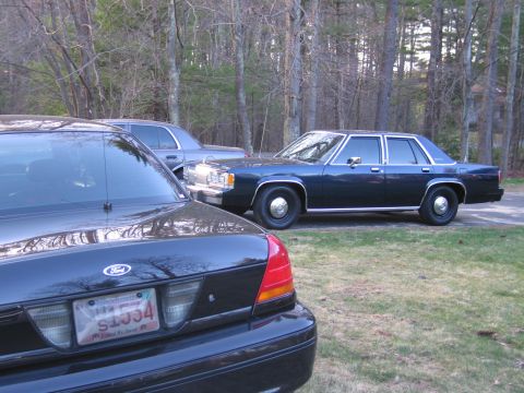 1991 Ford LTD Crown Victoria - Two sedans are parked in a grassy area with trees in the background. The dark blue sedan is in the middle ground.
