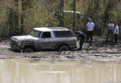 1988 Ford Bronco - Every job needs supervisors.