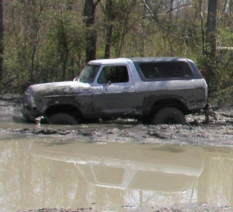1988 Ford Bronco - A mud-covered 1978 Ford Bronco is stuck deep in a muddy mire, with its reflection visible in the water.