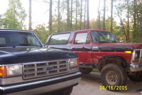 1979 Ford F-150 - Two Ford trucks, a red Bronco and a dark blue pickup, are parked outdoors. The Bronco appears to be a 1978 model.