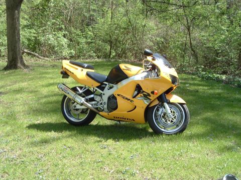 2002 Harley-Davidson Sportster Custom - A yellow Honda CBR motorcycle is parked on a grassy lawn with trees in the background.