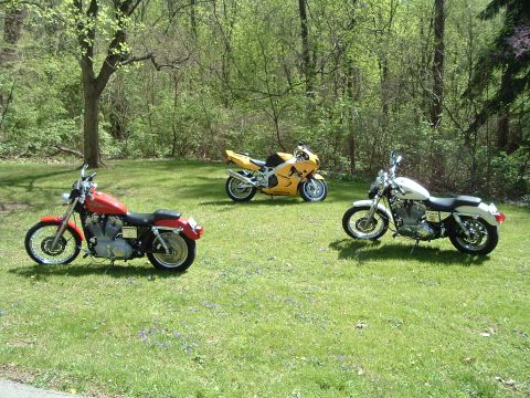 2002 Harley-Davidson Sportster Custom - bikes