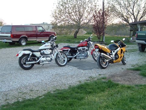 2002 Harley-Davidson Sportster Custom - A collection of motorcycles and a pickup truck are seen parked in an outdoor setting.