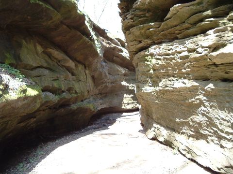 2002 Harley-Davidson Sportster Custom - A sunlit path winds through a narrow, rocky canyon with mossy overhangs.