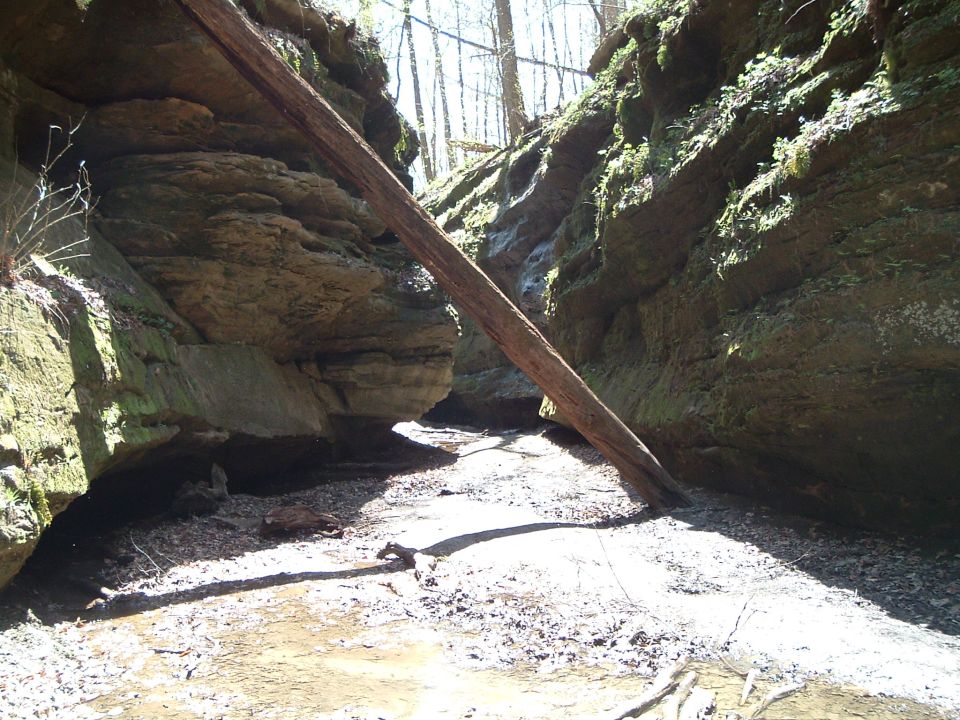 Fallen log in a rocky ravine with sunlight filtering through trees