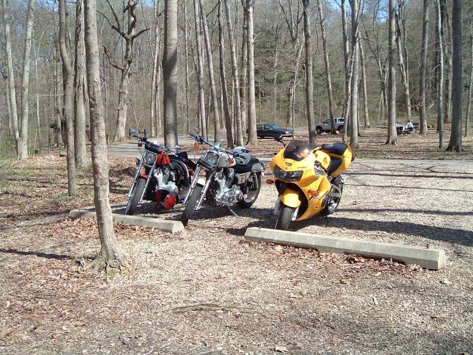 Three motorcycles parked in a wooded area with cars in the background. The yellow motorcycle is a sportbike