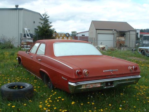 1999 Ford Crown Victoria - This 1965 Chevrolet Impala sedan is seen in a grassy lot with other vehicles and buildings in the background.