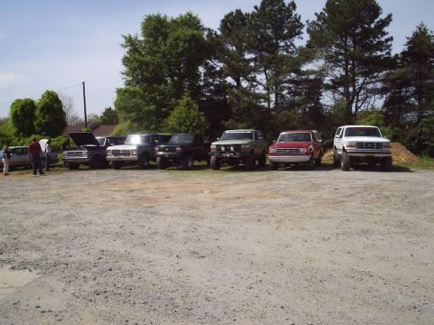 1989 Ford Bronco - A collection of Ford trucks and SUVs are parked outdoors on a sunny day.