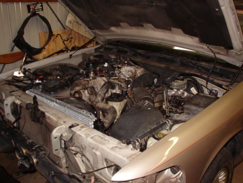 1994 Ford Crown Victoria - There's no coolant in it, and the radiator is just resting in place. I just realized the '00 trans cooler is external, so I have to go back…