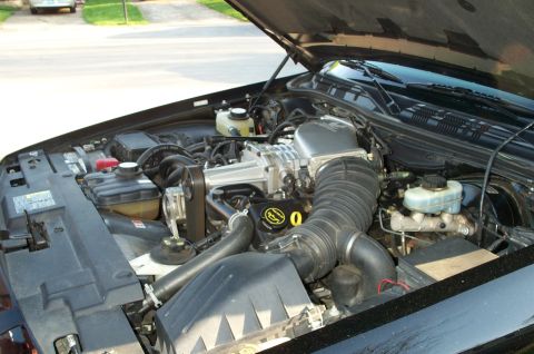 1998 Ford Crown Victoria - The engine bay features a supercharger, air intake system, and various fluid reservoirs under the hood.