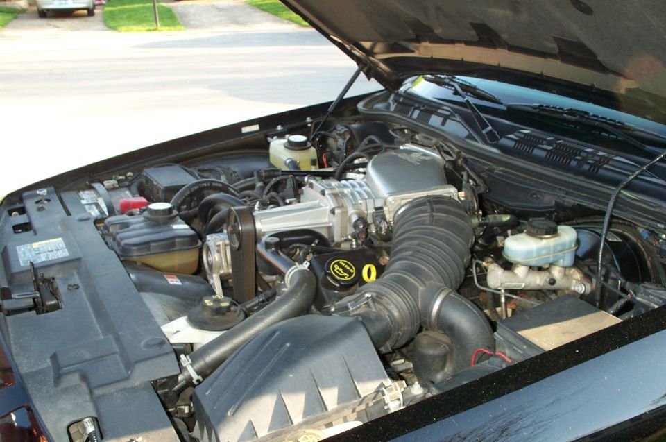 Black car engine bay with silver supercharger and black intake tubing, hood open