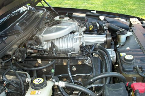 1998 Ford Crown Victoria - Engine bay of a 1998 Ford Crown Victoria, a prominent supercharger.