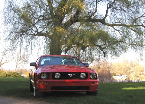 2005 Ford Mustang “RBadPny”