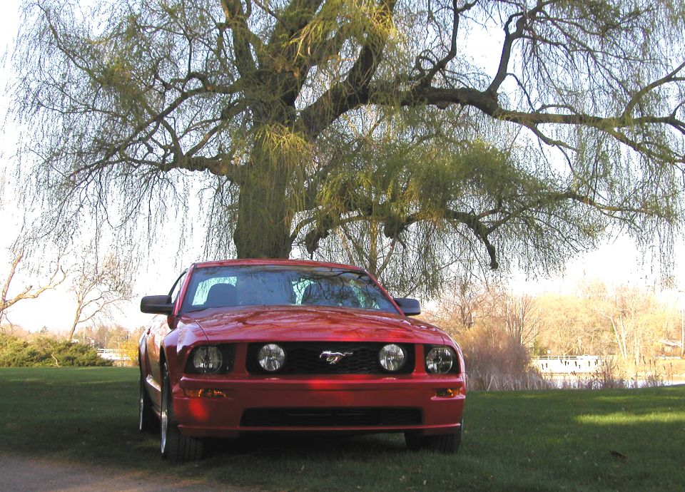 2005 Ford Mustang “RBadPny”