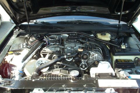 1998 Ford Crown Victoria - Overhead view of an engine bay showing a V-configuration engine with a belt-driven supercharger, visible alternator, black serpentine belt,…