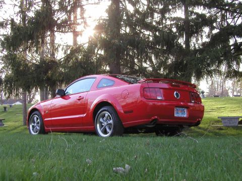 2005 Ford Mustang - Red 2005 Ford Mustang coupe parked on a grassy area with trees in the background.