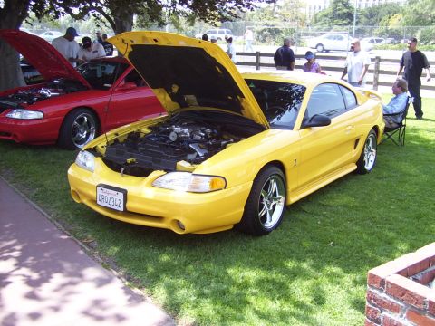 2002 Ford Mustang - Two Mustangs are parked on the grass, both with their hoods open, at an outdoor car show.