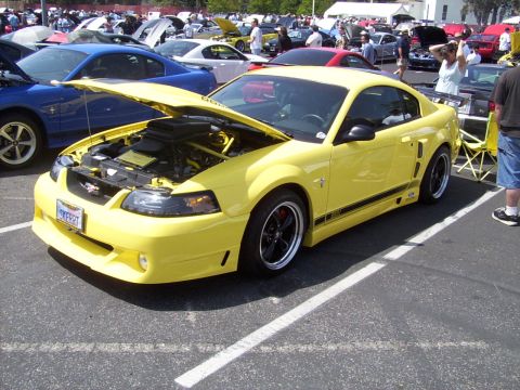 2002 Ford Mustang - Another shot of labels2 Mach with Bonnie behind it.