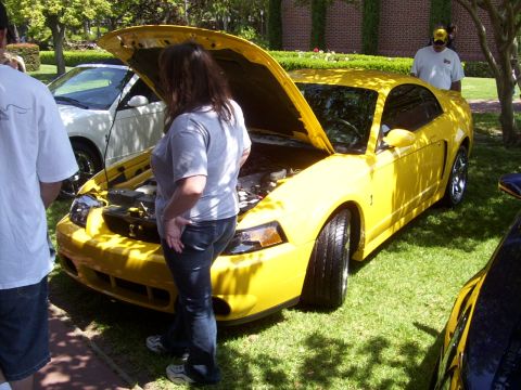 2002 Ford Mustang - A yellow Ford Mustang is displayed with its hood open at an outdoor event.